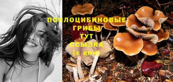 круглые Карталы