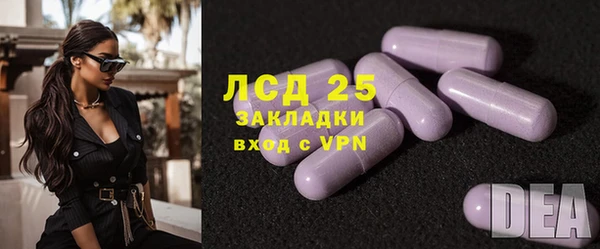 прущие грибы Карпинск