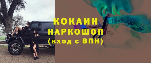прущие грибы Карпинск