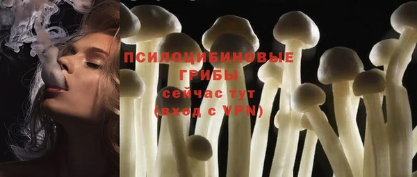 прущие грибы Карпинск