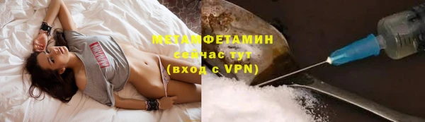 прущие грибы Карпинск