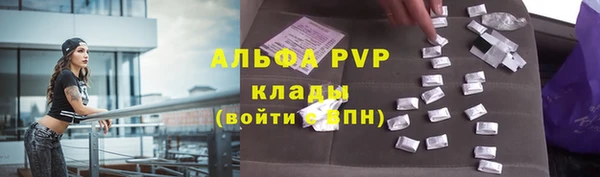прущие грибы Карпинск