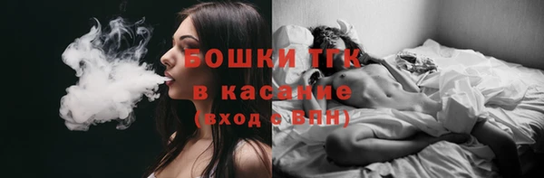 прущие грибы Карпинск