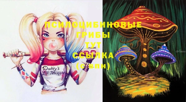 круглые Карталы