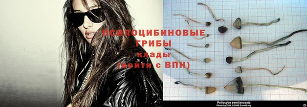 прущие грибы Карпинск