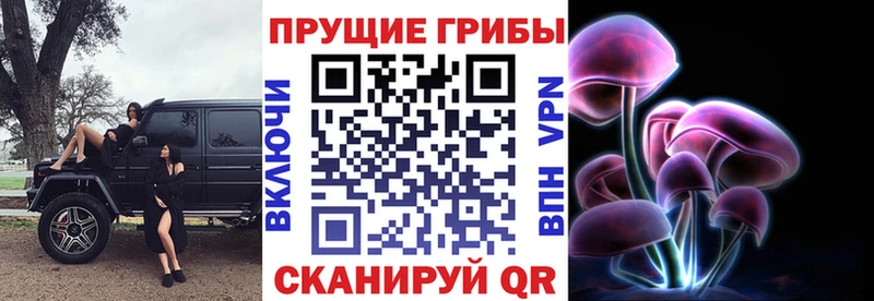 Купить закладки  Жердевка  Псилоцибиновые грибы Cubensis 